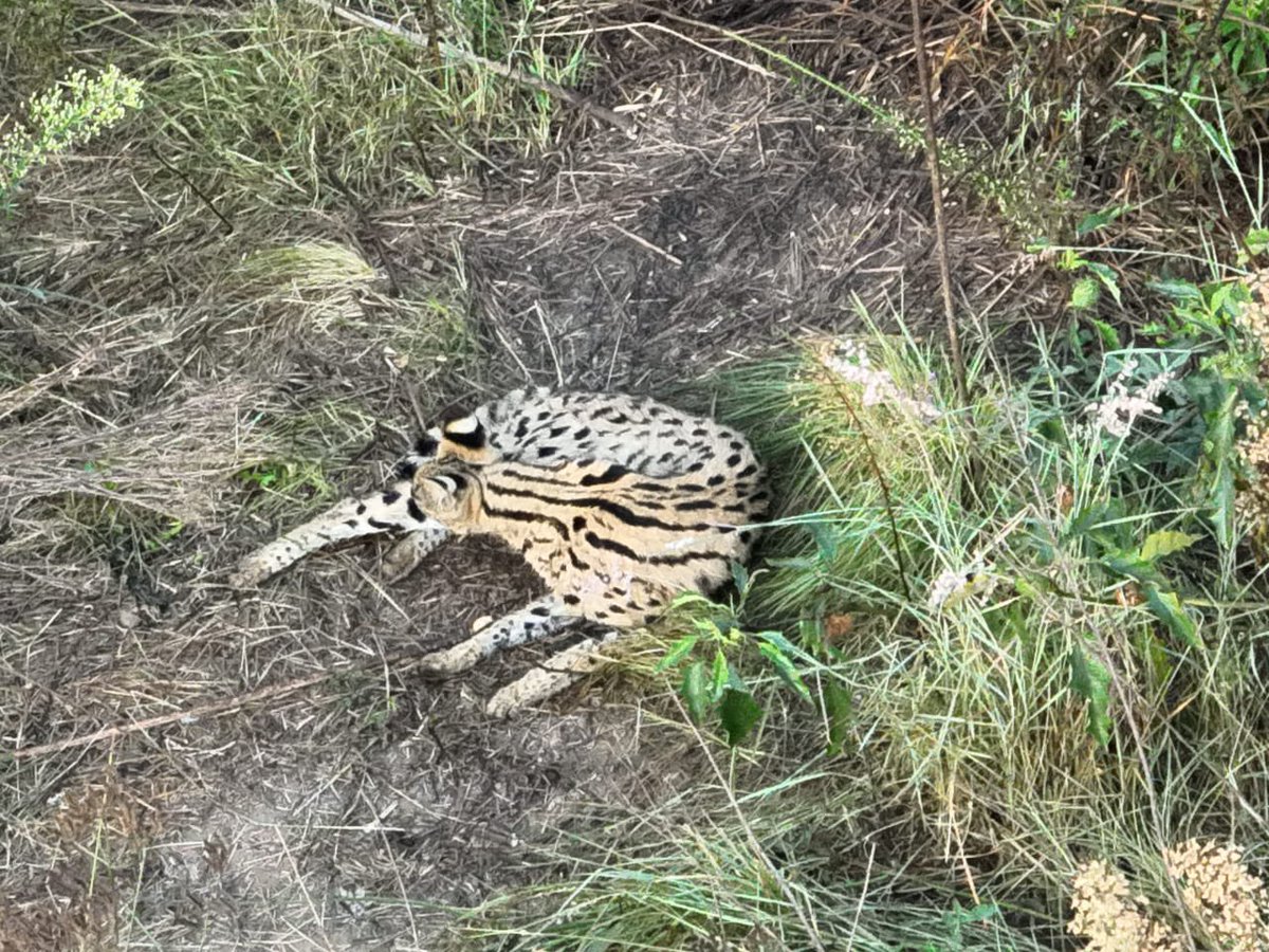 𝓽𝓱𝓮 𝓐𝓵𝓵𝓯𝓪𝓽𝓱𝓮𝓻 tweet media