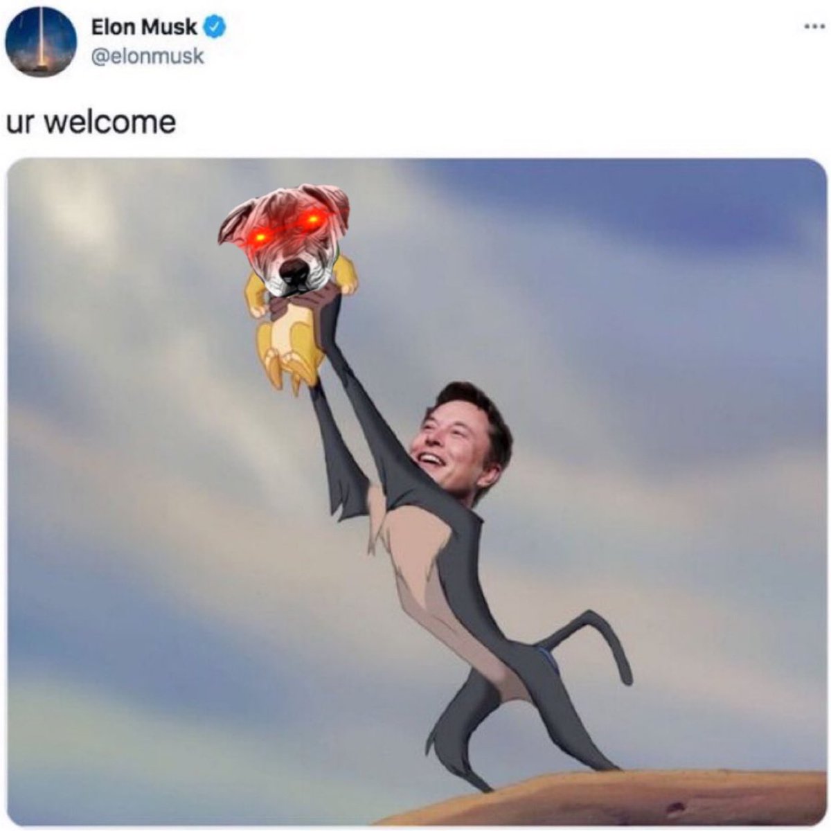 BabyDogeAurora's tweet photo. Ok Elon I get that you love me but can you put me down now 🤘😉❤️
#sweep #SWEEPTOKEN #SWEEPNFTS #babysweep #sweeparmy #sweepproject https://t.co/63Ub2Xuc0A