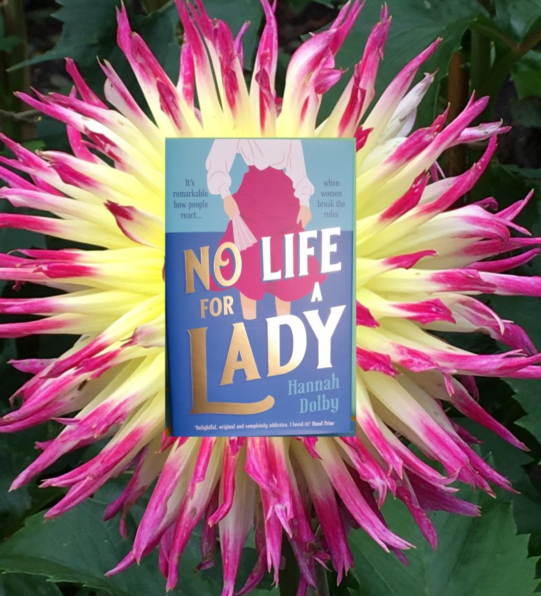 No Life for A Lady is published in America today! I am delighted, flabbergasted, amazed and grateful to all at <a href="/HoZ_Books/">Head of Zeus</a> and <a href="/Diana_Beaumont/">Diana Beaumont</a> for making this happen.