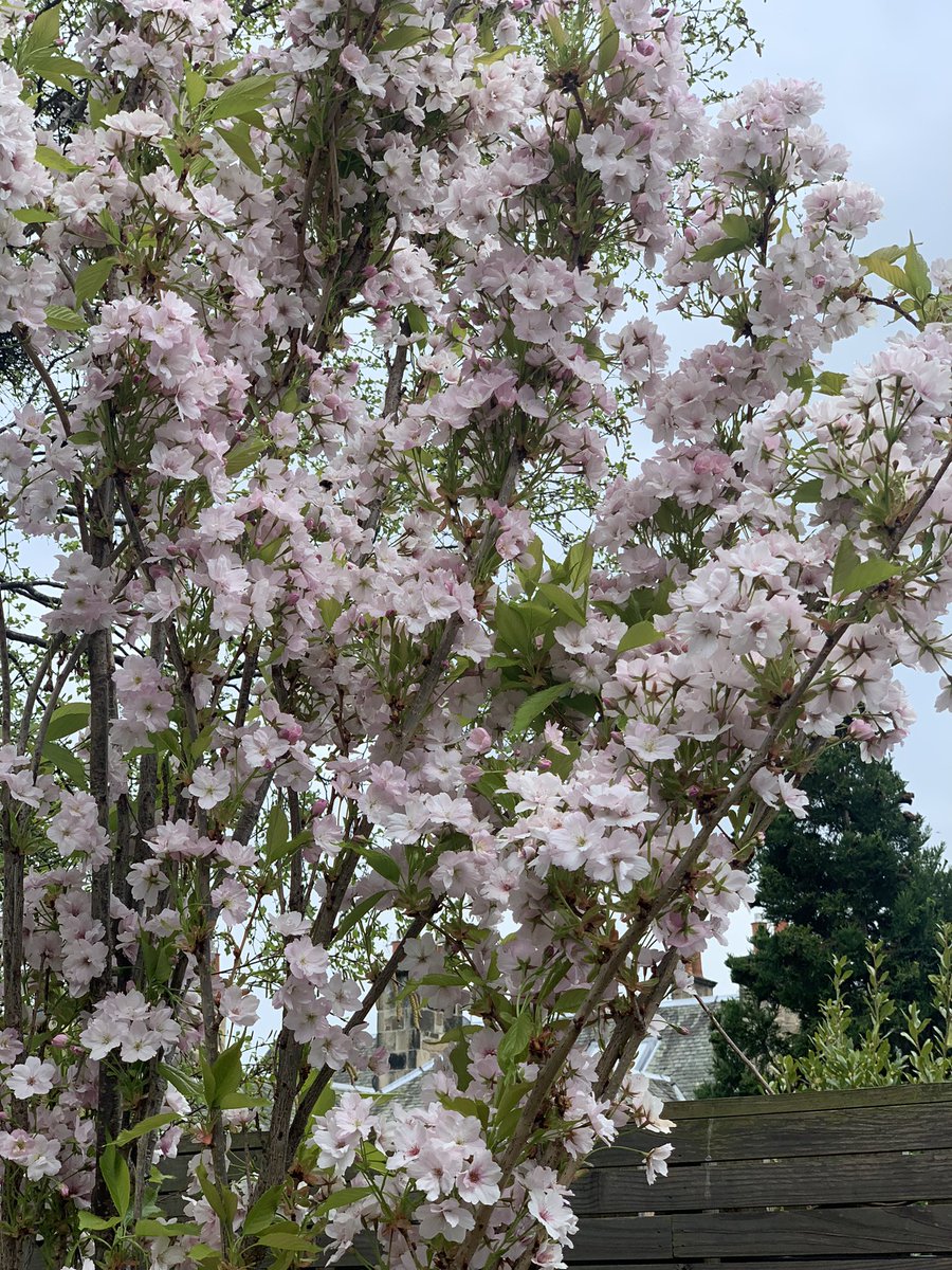 Sarah Minnis-Lyons tweet media