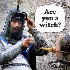 Wlx29's tweet photo. @petestrzok @AshaRangappa_ Maybe he thinks he IS a witch &amp; can turn people into newts? https://t.co/Sul74vLZqj