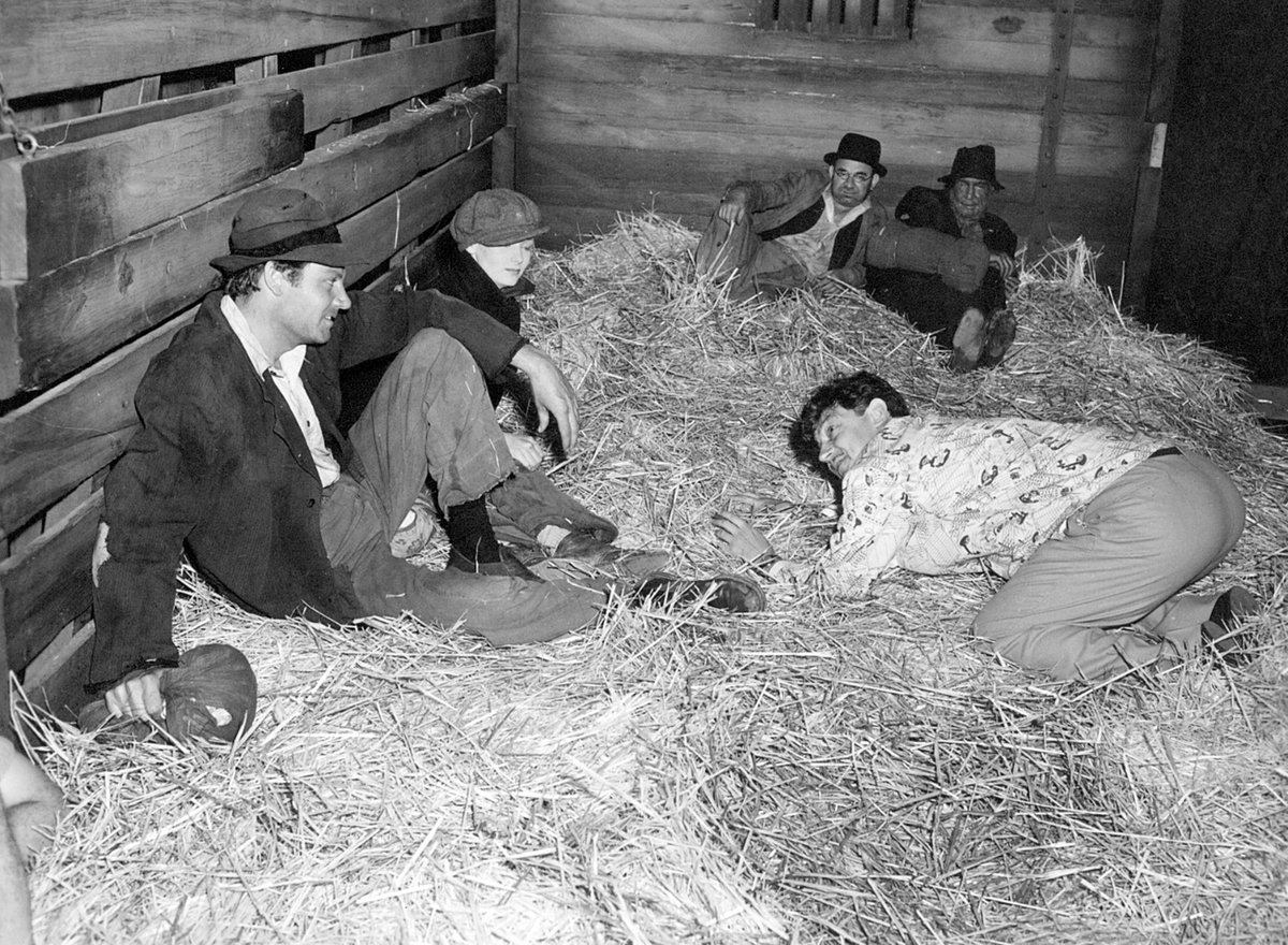 In the 1940s, Preston Sturges became one of the few filmmakers in Hollywood to direct their own scripts, and the first writer to win an Academy Award for Best Original Screenplay. 

See five of his best comedies tonight beginning with SULLIVAN'S TRAVELS ('42) at 8pm ET.