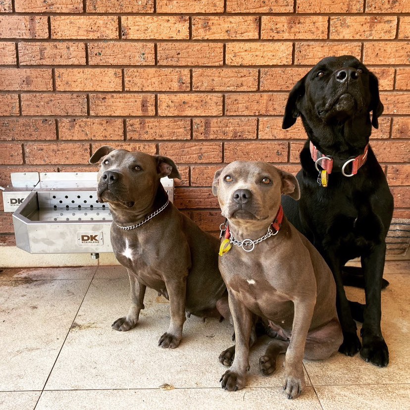 DkStainless's tweet image. Worried about your dog having a "go" at the Pet Rehydration Station float valve water inlet? Then grab yourself a Float Concealment Bracket!

🏷 Pet Rehydration Station™ (XL)
🏷 Float Concealment Bracket
🛒 dkstainless.com.au
#petsupplies #dogessentials #dog101