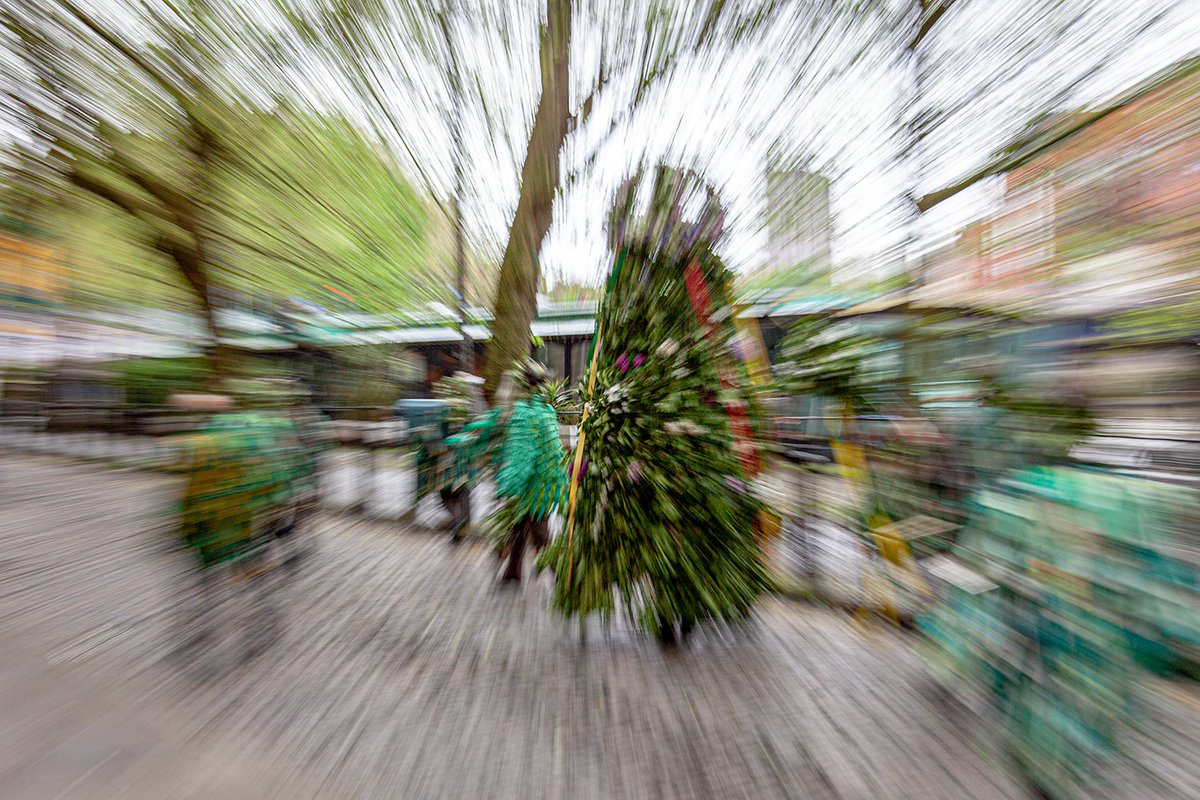 Rich White tweet media