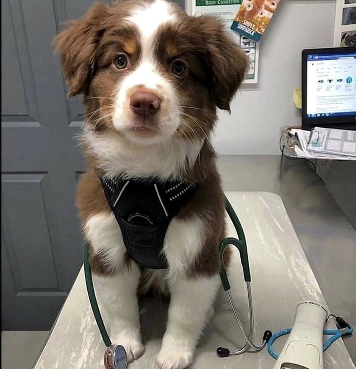 dale mg a este doctor ❤️