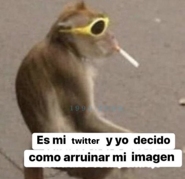 Biofilica's tweet photo. Sí. https://t.co/zp5uzNs7l9