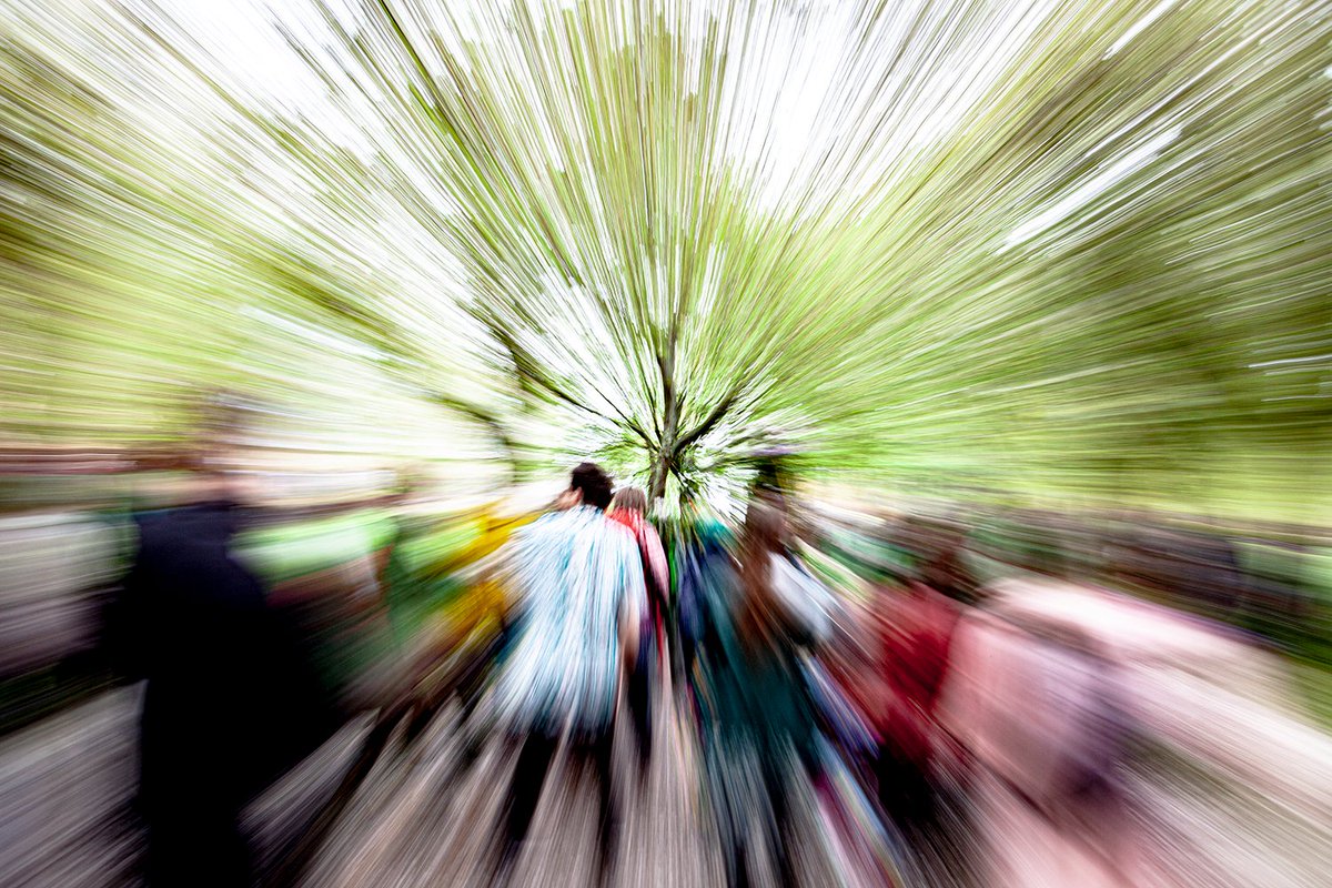 Rich White tweet media