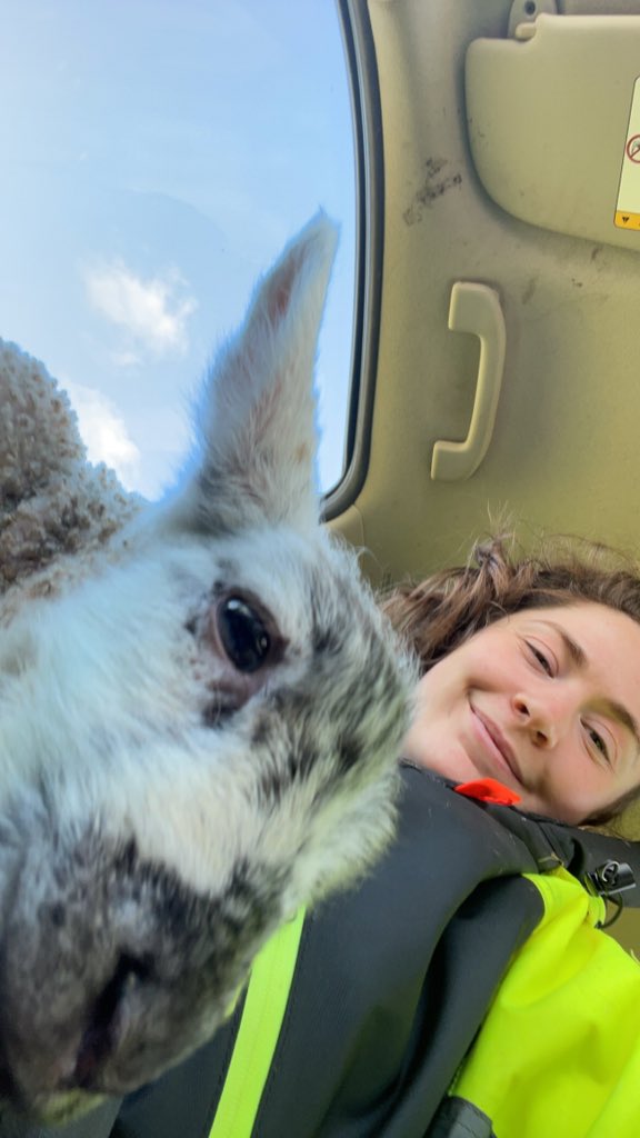Hannah Budge (@hannahbudge) on Twitter photo Back in Newcastle after a few weeks lambing to help the sisters at <a href="/BigtonFarm/">Bigton Farm</a> . Every year I come back humbled at tireless work farmers put in this time of year, and at the beauty of the island I was lucky enough to grow up in. Back in Newcastle after a few weeks lambing to help the sisters at <a href="/BigtonFarm/">Bigton Farm</a> . Every year I come back humbled at tireless work farmers put in this time of year, and at the beauty of the island I was lucky enough to grow up in.