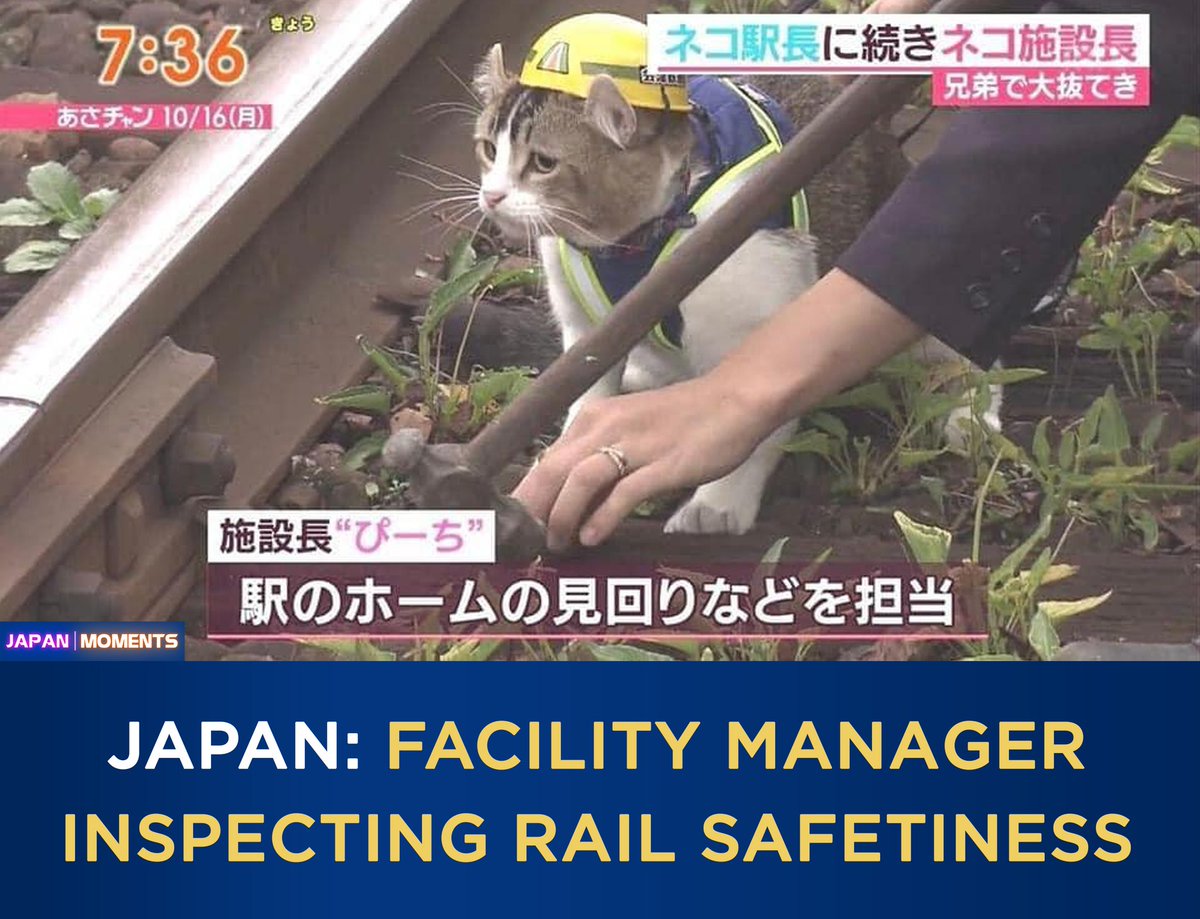 Ryan Burke (@ryanburkewriter) on Twitter photo 