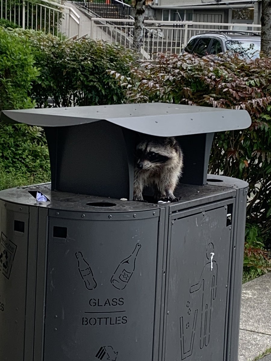 Some days you just don’t want to go to school!