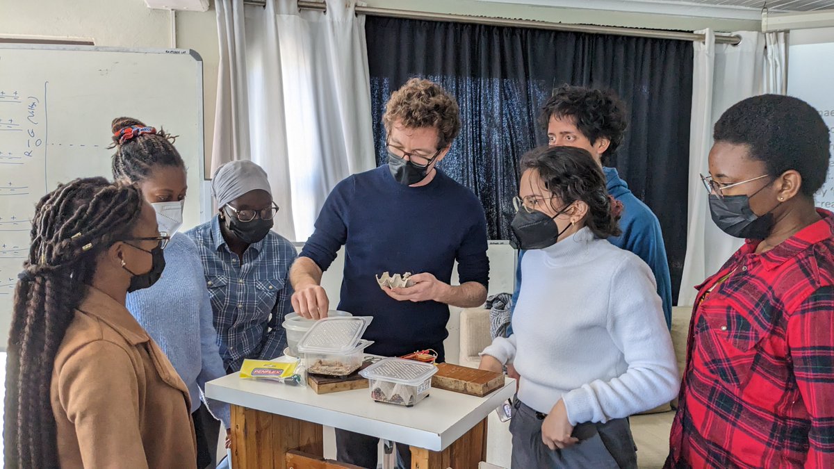 Annik Carson tweet media