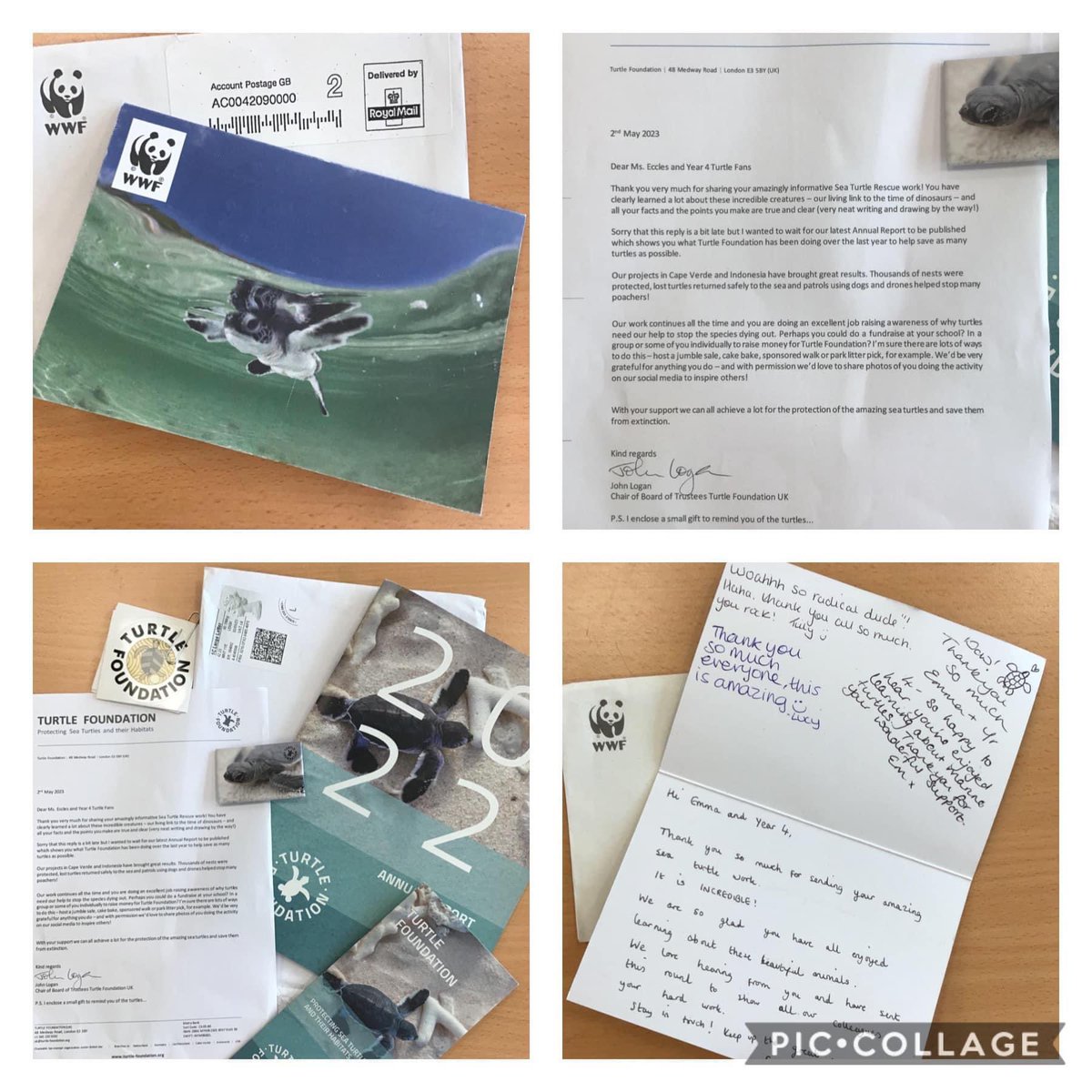 LeighStMarys's tweet image. Y4 were inspired by the text Island to research the conservation of sea turtles. They sent their fact files to various organisations and have received replies. We are so proud of their enthusiasm and the effort they have put into this project. Thank you @WWF @TurtleFound 💚💙