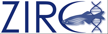 Dear #ZebrafishResearch community, #ZIRC needs your input! Please help shape our services to you by taking our quick survey. Help us support your future research better! : oregon.qualtrics.com/jfe/form/SV_eV…  #zebrafish #BiomedicalScience