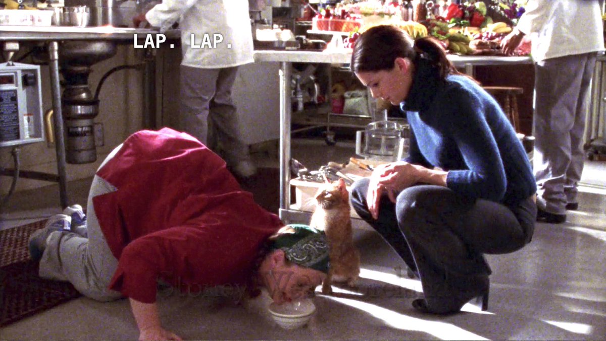 out of context gilmore girls (@ggsnocontext) on Twitter photo 