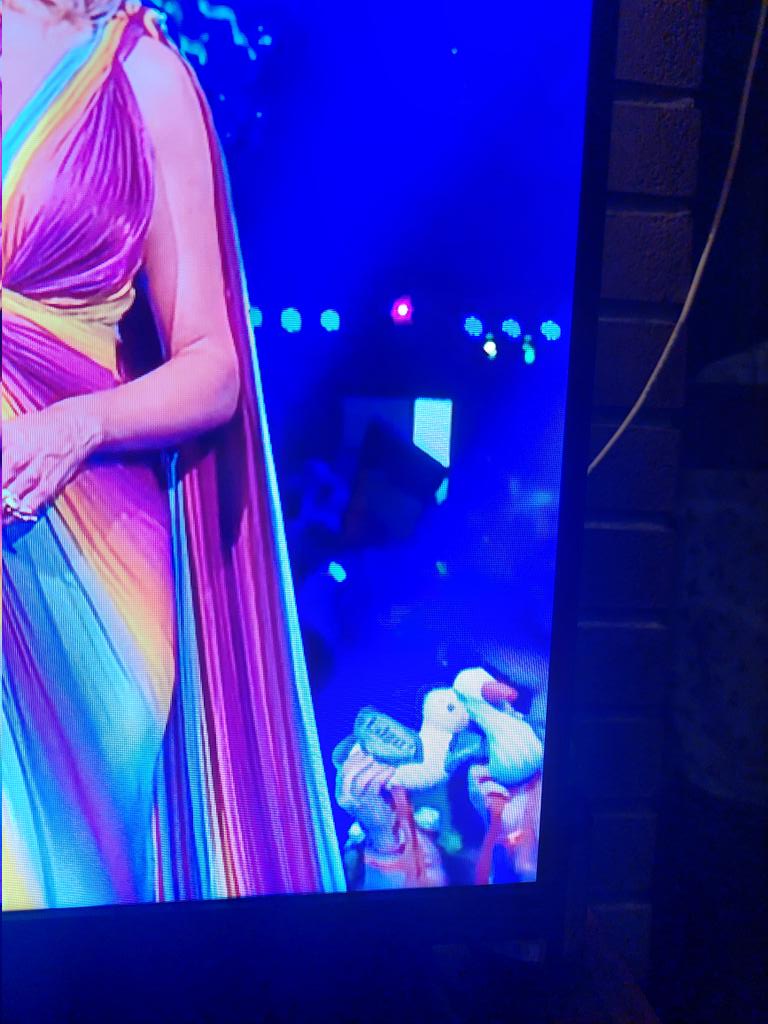 catedalpi's tweet photo. IL GABBIANO HA RITROVATO LA COMPAGNA, STANNO ALL'EUROVISION

#Eurovision2023 #EUROVISION https://t.co/NxUsQvmLhW