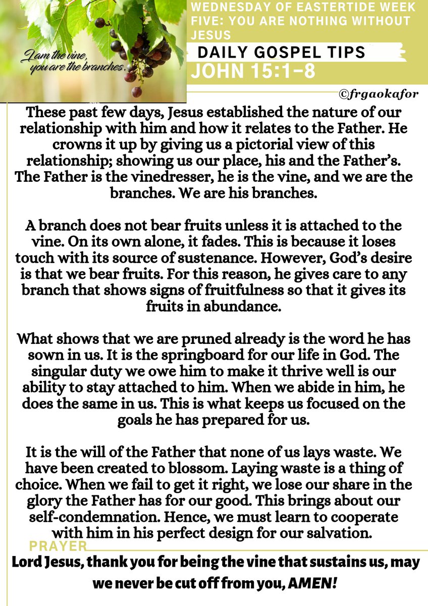 frgaokafor's tweet image. #dailygospeltips #BearingFruits #VineAndBranches #HappyMidweek