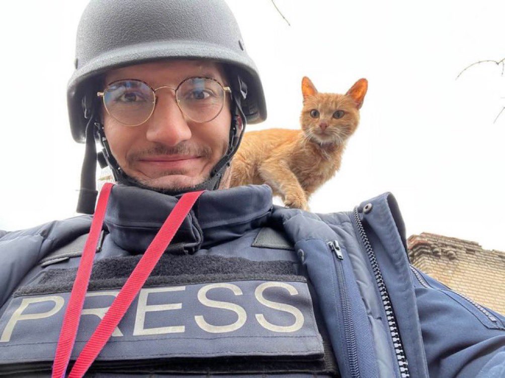 Bosnian History tweet media