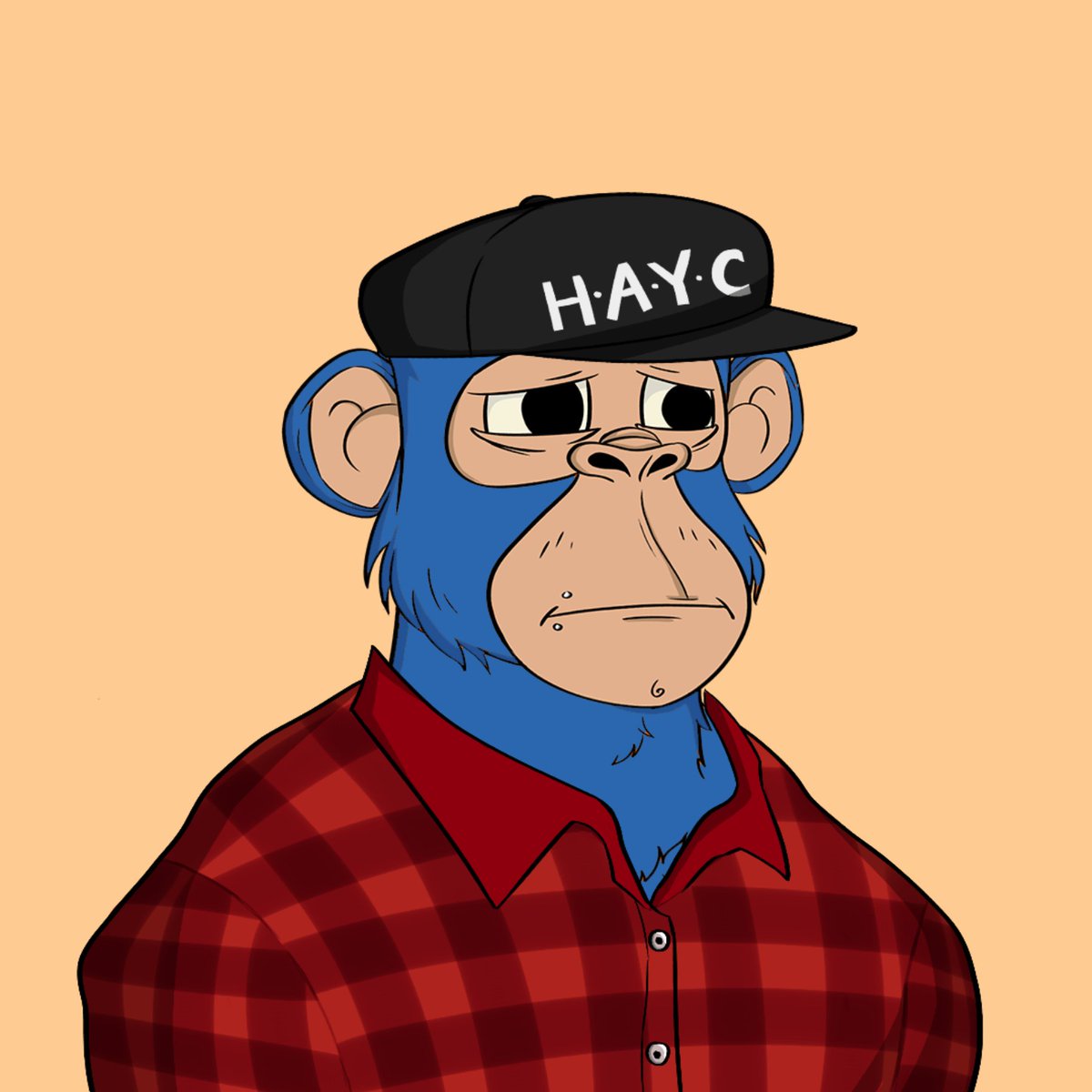 HunkApes's tweet photo. 🚀 Hold onto your hats, because the HunkApesYouthClub NFT collection is about to blast off! These cute and collectible apes are going to take the crypto art world by storm. 

❗️Don't miss your chance to get in on the ground floor and join the HunkApes community. #NFTs #NFT #art https://t.co/tcS9jvQwUw