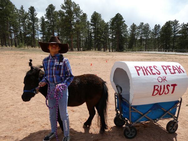 Woodland Park School District tweet media