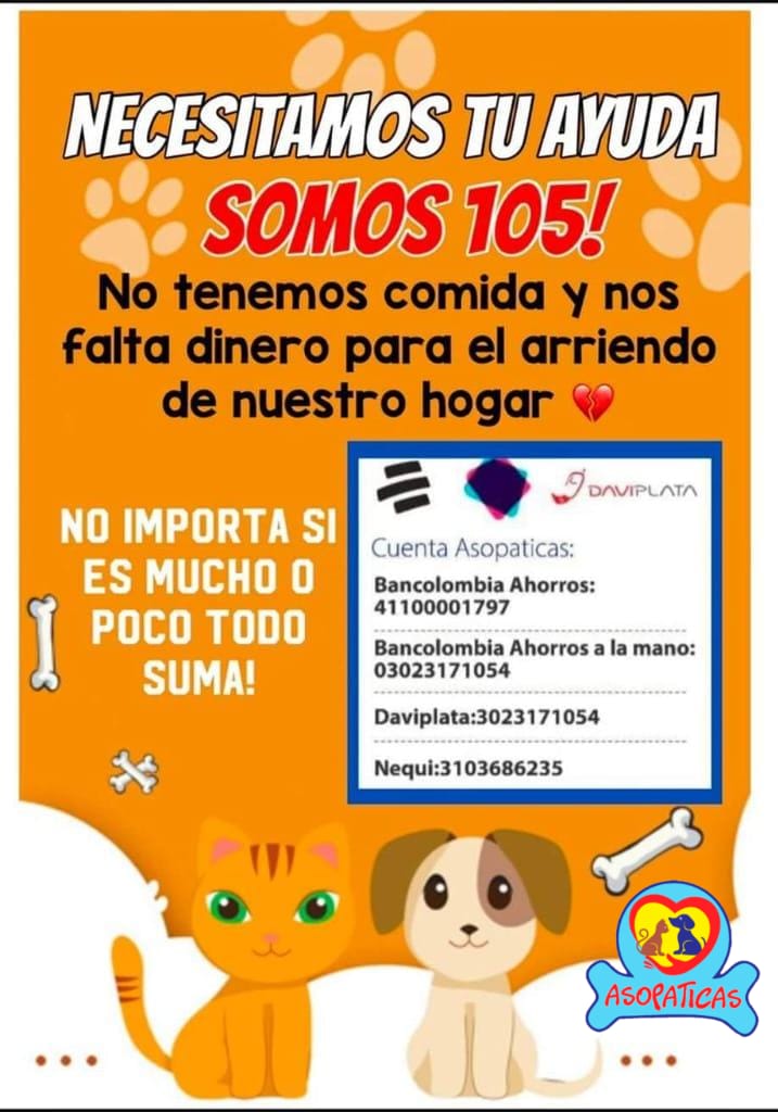 angela_ariz's tweet photo. @asopaticas Amigos de los animales de dónde sea que vean este mensaje, por favor ayuda para estos 105 perritos,perritas y gatitos🐶🐱 del refugio.. se está pasando por un momento crítico!! Necesitan nuestro
apoyo😔😔 https://t.co/0B3lAlCKUS