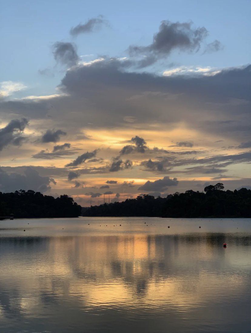 Butterfly92923's tweet photo. Good evening everyone🌅🌅⛅️⛅️ https://t.co/4dPRyx2ip8
