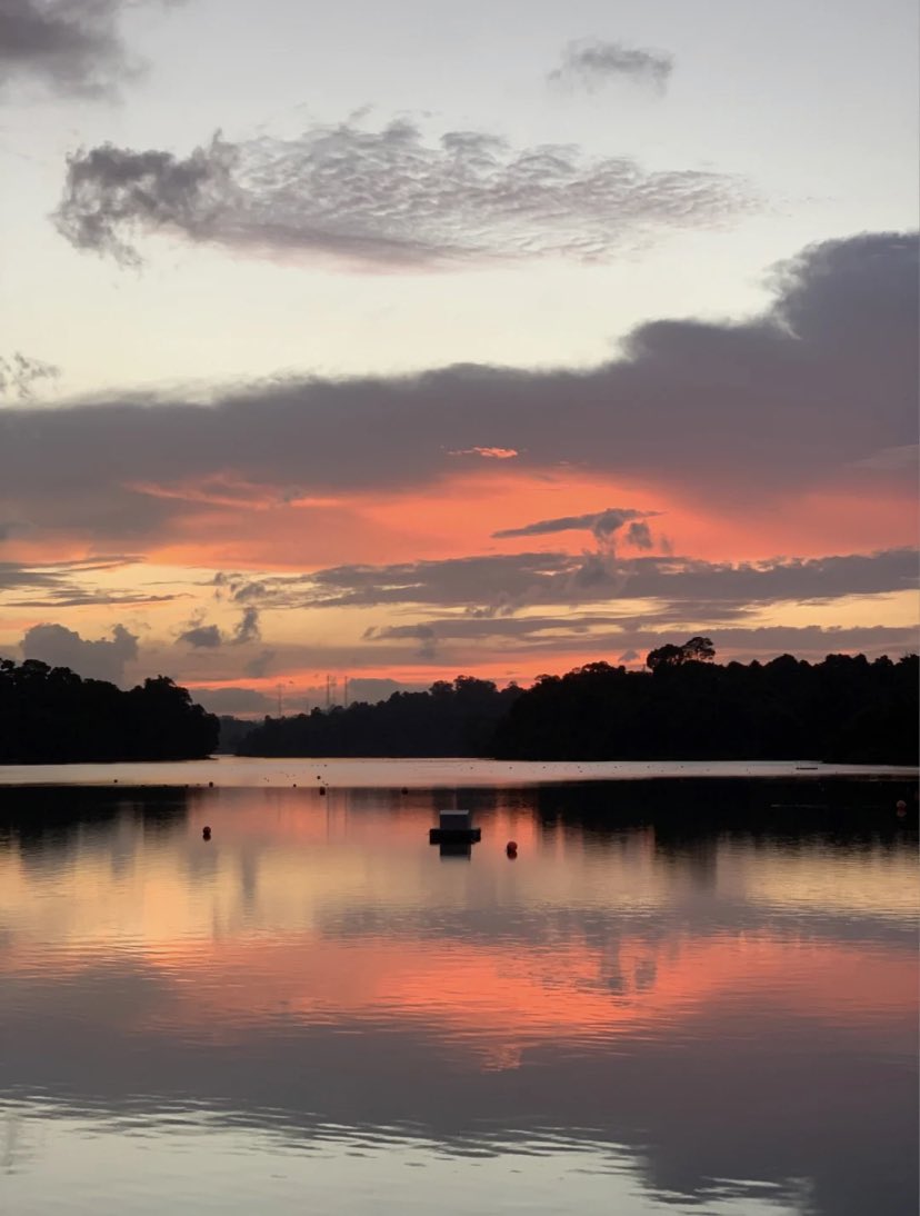 Butterfly92923's tweet photo. Good evening everyone🌅🌅⛅️⛅️ https://t.co/4dPRyx2ip8
