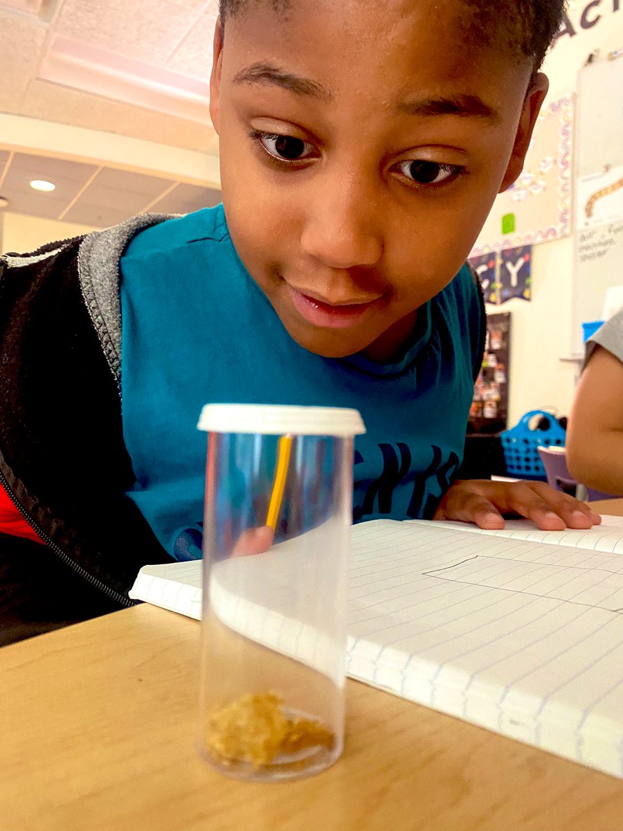 Audrey Eipp tweet media