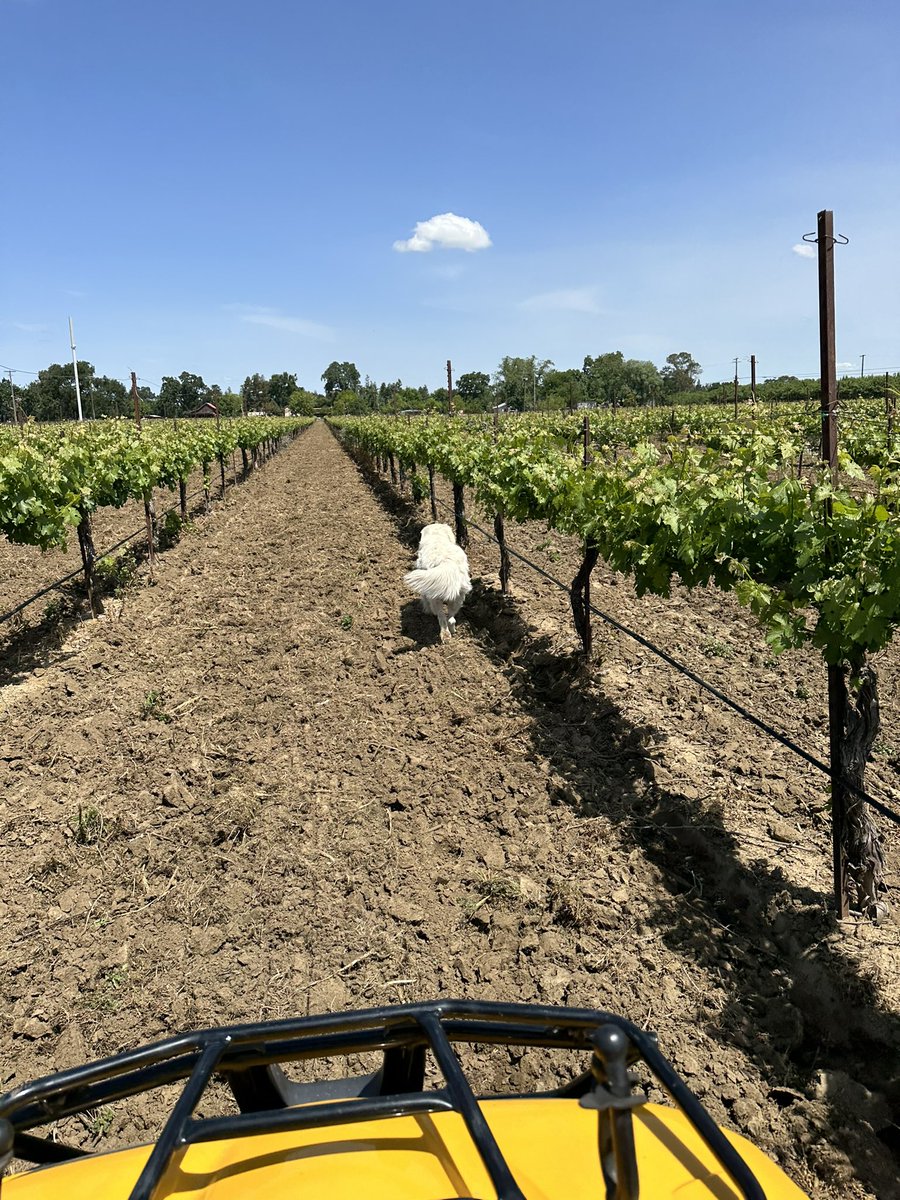 Lots of activity today at our site.