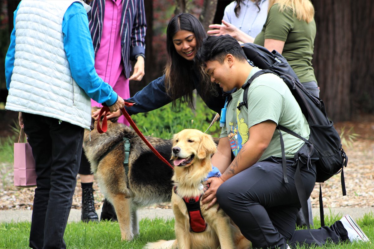 DominicanCANews's tweet photo. To help students cope with stress of #FinalsWeek Dominican’s Staff Assembly Leadership Team, in partnership with @MarinHumane, hosted #PauseForPaws event on Anne Hathaway Lawn Tuesday #TherapyDogs #Pause4Paws #MarinCounty #MarinHumane #ThisIsDUC https://t.co/SsmwJtN4Fu