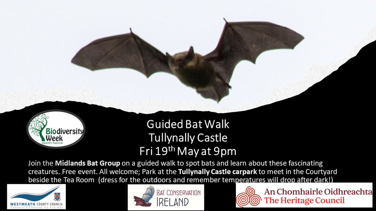 Interested in learning more about bats? Join Midlands Bat Group on a guided walk around Tullynally Castle on Fri 19th May. Free event. Parking in the Castle carpark, meet at the Tea Rooms at 9pm. 
<a href="/BatConservIre/">Bat Conservation Ire</a> <a href="/HeritageHubIRE/">The Heritage Council</a> <a href="/westmeathcoco/">Westmeath County Council</a>   <a href="/TullynallyG/">Tullynally Castle and Gardens</a>  #BiodiversityWeek2023