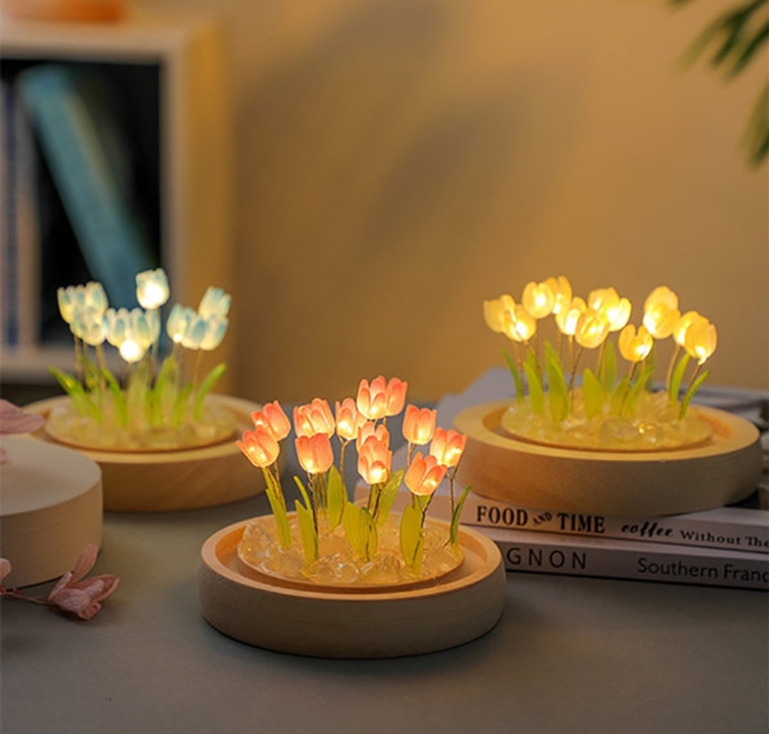 tulip light🌷