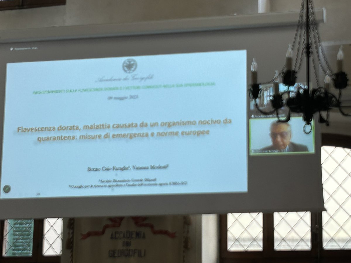 Aipp1992's tweet photo. Interessante #giornata di #studio su #Flavescenza #dorata organizzata a #Firenze dall’#Accademia dei #Georgofili https://t.co/R1xZydnPKE