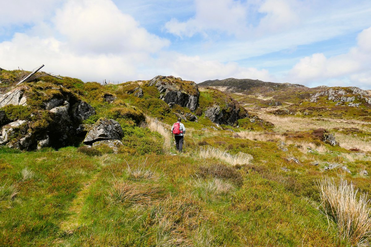 Far from the Coronation crowds, a very peaceful days hiking in the quieter Arenigs this weekend. Rhobell Fawr and Dduallt

#hike #Wales #Welshpassion #nuttalls #mountains