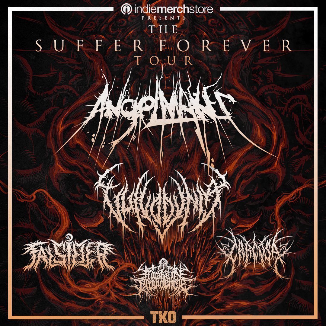 FALSIFIER tweet media