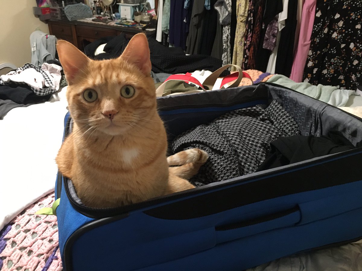 LisaRKenyon's tweet photo. Remember to pack your essentials when heading to #MLADLA23 https://t.co/aVMyOocqR9