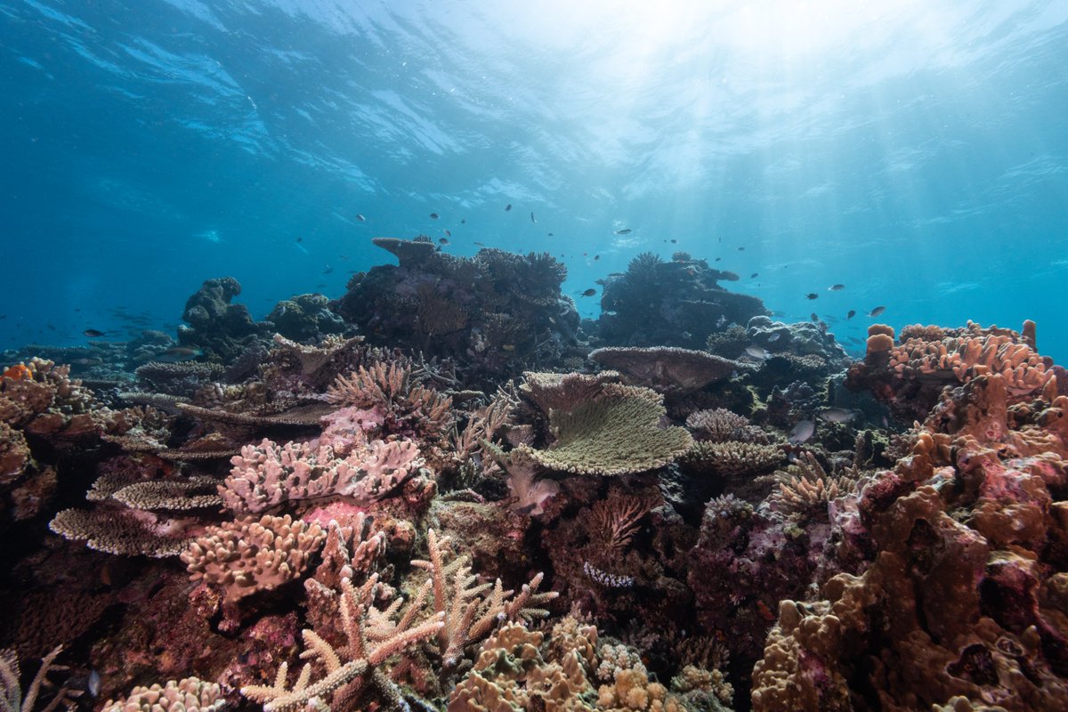 WCSocean's tweet photo. Water quality is a great equaliser of humanity.

Following the UN Water Conference, we’re calling on governments, funders, and NGOs to pledge bold action and launch new tides of funding – to give our world’s lifeblood the commitment it deserves.

🔗https://t.co/q3un7QtvRx https://t.co/hdfwcqJ3nA