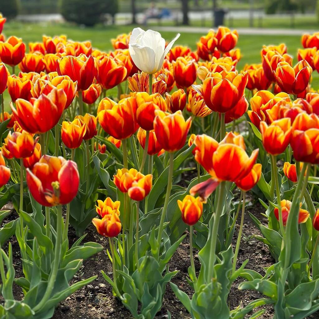 We may all look the same at the start but we aren’t the same… instagr.am/p/CsCTxUAO_Gh/