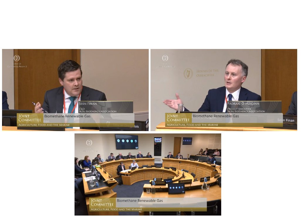 Pádraic Ó hUiginn tweet media