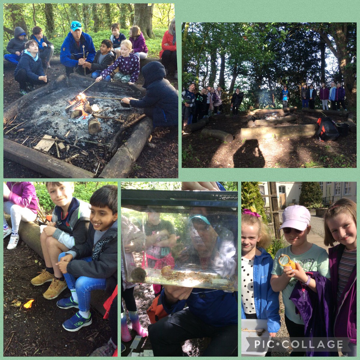 Y3Mabs's tweet photo. We have had a very fun first evening finding creatures, enjoying a camp fire and going on a long walk. https://t.co/jdLTBjAdFt