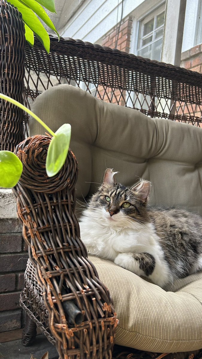 bigevilbug's tweet image. 