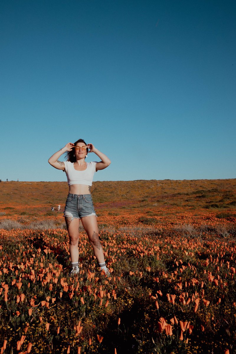 Let’s see if I can win my first ever #DivergentOrdinals from <a href="/diverge_meta/">DIVERGE</a>!