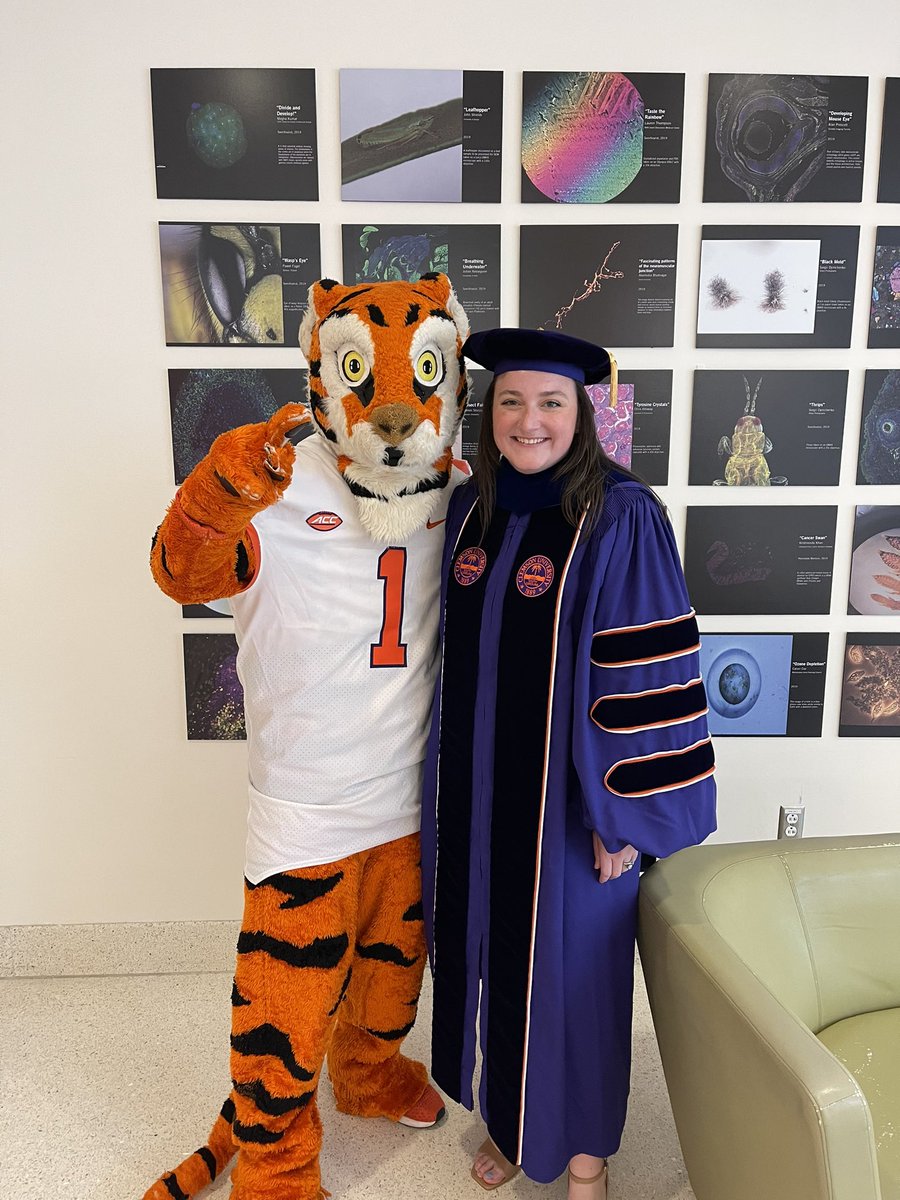 Emily Knight tweet media