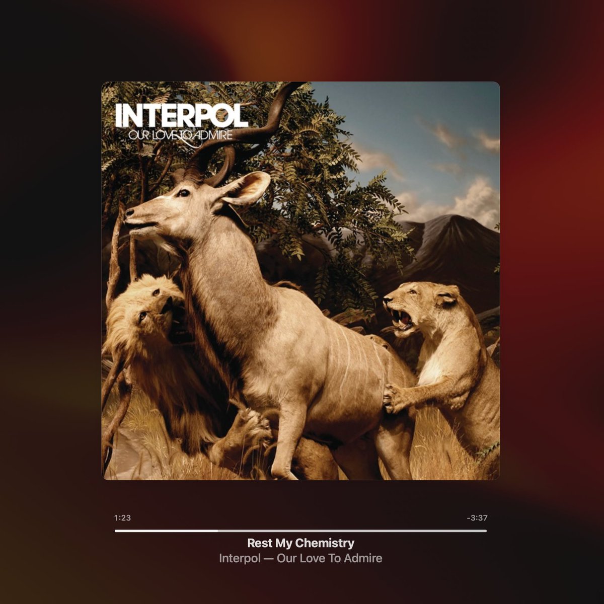 liberia_prince's tweet photo. C:\inside_my_head\audioDaily\
| Artist: Interpol
| Song: Rest My Chemistry
| Album: Our Love To Admire
https://t.co/FsrBNXHa5Z
#audioDaily #Interpol https://t.co/FA7lA7TU8M