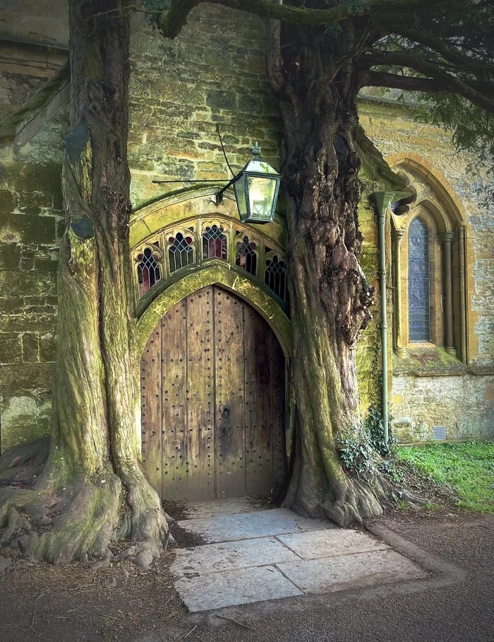 Riddle1000's tweet photo. Ancient church be looking like a video game temple #beautiful #church #temple #foresttemple #trees when nature reclaims the land https://t.co/j8KCjrD8qd