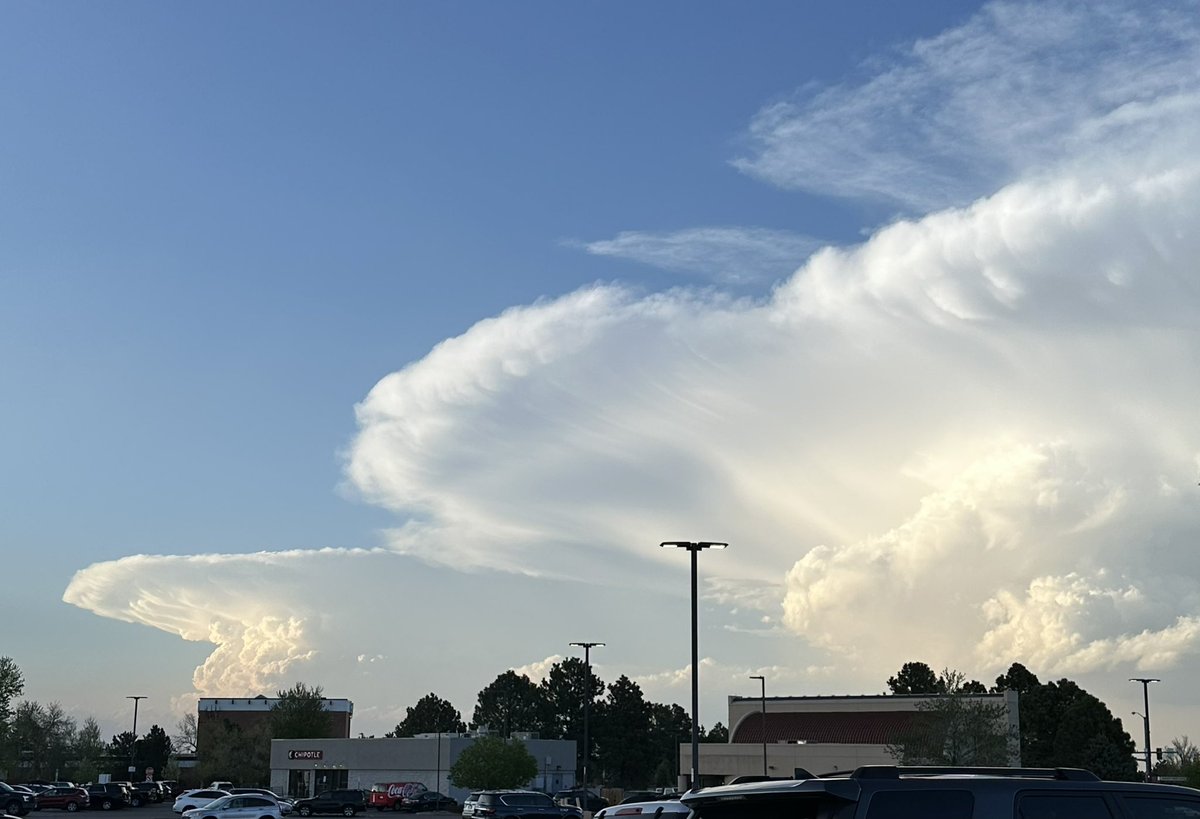 Tracy Dean tweet media