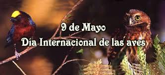 Cada 9 de mayo se conmemora el día internacional de las aves, que tiene como finalidad hacer conciencia sobre la conservación y cuidado de estas y sus hábitats. <a href="/citmacuba/">Ministerio de Ciencia, Tecnología y Medio Ambiente</a> <a href="/LorenzoOsbel/">Osbel Lorenzo</a> <a href="/OGAmbienteCuba/">Odalys Caridad Goicochea Cardoso</a> <a href="/ElbaRosaPM/">Elba Rosa</a> <a href="/yadiraMA12/">yadiraMA</a> <a href="/CitmaIsj/">CitmaIsla</a> <a href="/FidelVeraIsla/">Dr. C. Fidel Vera Bueno</a> <a href="/Jessfc17/">JessicaFC</a>