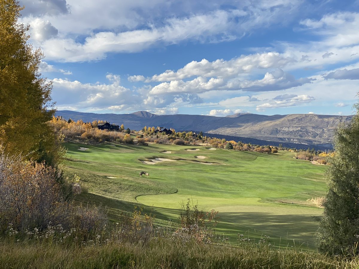 Bo Knows tweet media