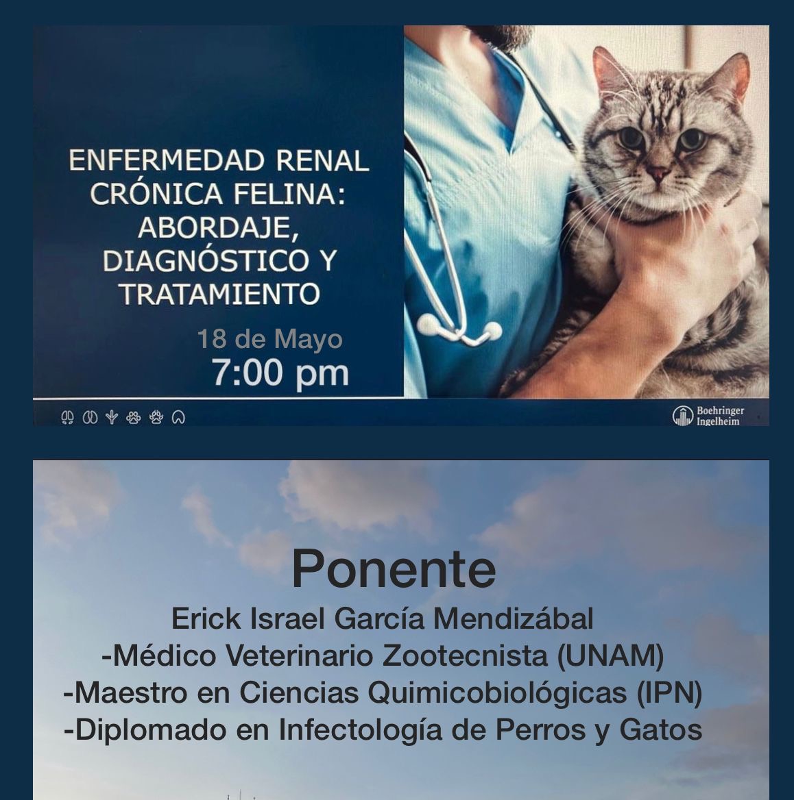 SQUENDA's tweet photo. 📍 Plática Mensual COMVEPEP. Enfermedad renal crónica felina: abordaje diagnóstico y tratamiento #Presencial
📅 18 de mayo 2023
😉 Organiza: #COMVEPEP
📍 Hospital de pequeñas especies de la Benemérita Universidad Autónoma del Estado de Puebla
📲 Info: 2221237655
#EventoPresencial https://t.co/4c86zq8tOk