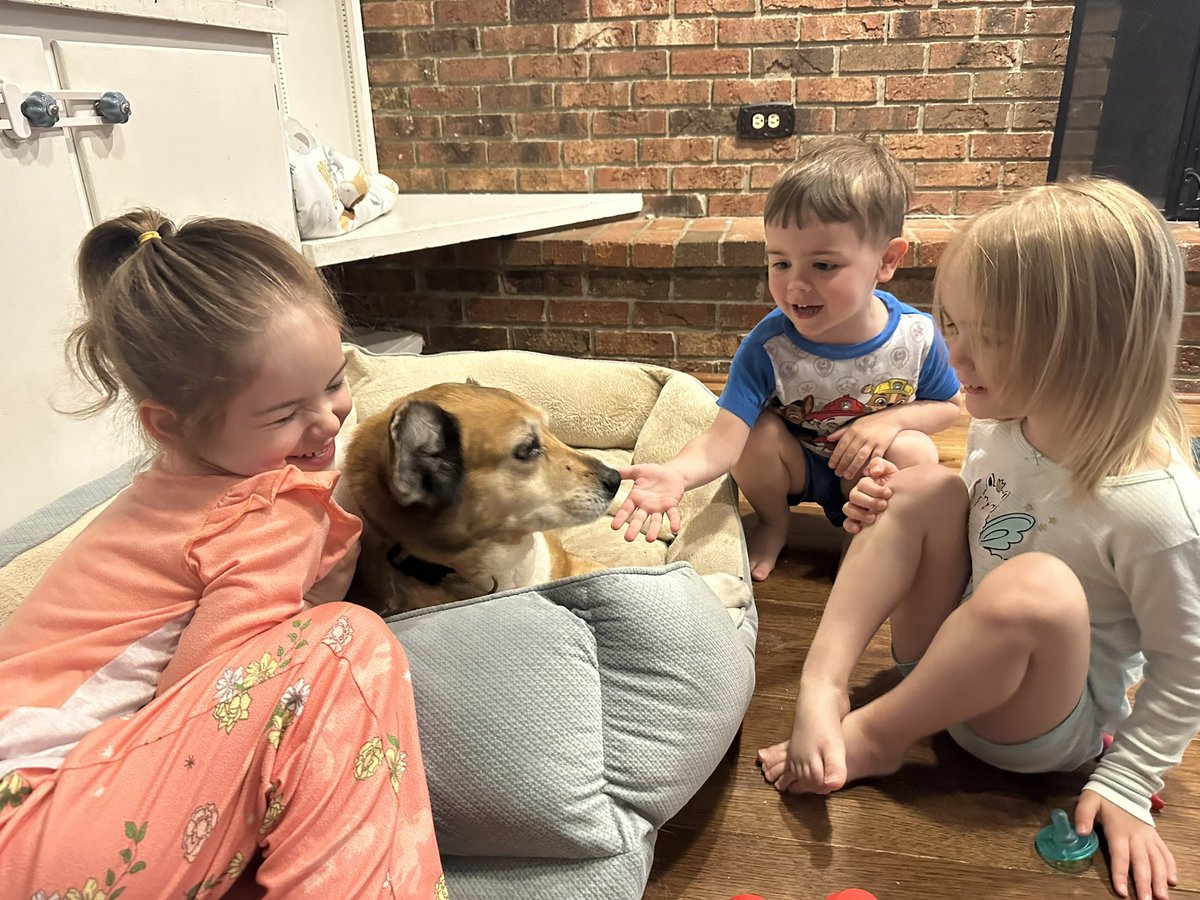 LeslieRubinWVBA's tweet photo. Ugh, it has been the saddest day. Today, our family dog, Bella, crossed the rainbow bridge. I’ll always cherish this picture taken this morning. They drove her nuts but she adored these kids and did everything to protect them. https://t.co/vwA74nqLSt