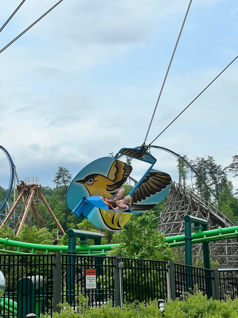 JeremyLandt's tweet photo. My little adrenaline junkie. https://t.co/eoRBJbR7vm https://t.co/uuO0VmqSmO